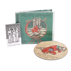 THEY CAME FROM VISIONS - The Twilight Robes CD