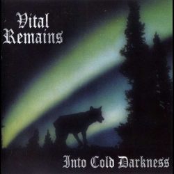 VITAL REMAINS - Into Cold Darkness DIGI CD