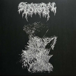 SPECTRAL VOICE - Necrotic Doom LP+7` (BLACK)