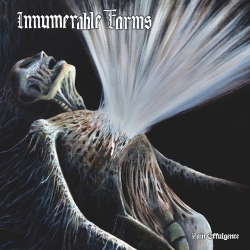 INNUMERABLE FORMS - Pain Effulgence CD (PRE-ORDER)