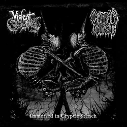 VIOLENT SCUM  / COFFIN CURSE  - Immersed in Cryptic Stench CD