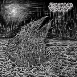 ASCENDED DEAD - Abhorrent Manifestation LP (BLACK)