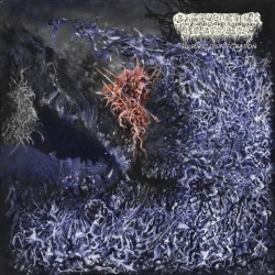 OF FEATHER AND BONE – Sulfuric Disintegration CD
