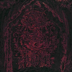 IMPETUOUS RITUAL - Blight Upon Martyred Sentience CD