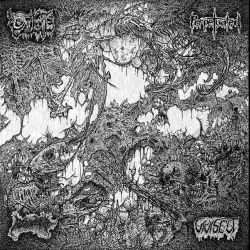 Oxalate / Perpetuated / Blood Spore / Vivisect – 4 Way Split CD