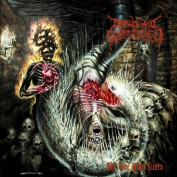 DRAWN AND QUARTERED (USA) - The One Who Lurks CD (PRE-ORDER)