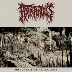 ASTRIFEROUS - The Lower Levels Of Sentience CD
