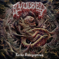 AVULSED - Nordic Embryogenesis CD (PRE-ORDER)