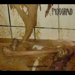 PISSGRAVE - Suicide Euphoria CD  (PRE-ORDER)