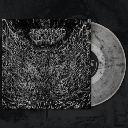ASCENDED DEAD - Evenfall Of The Apocalypse LP ( ULTRA CLEAR/BLACK MARBLE)