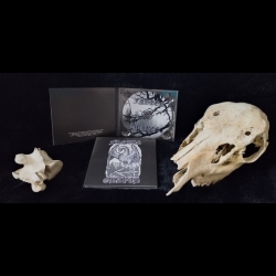 FROZEN GRAVES - An Age of Emptiness DIGI CD