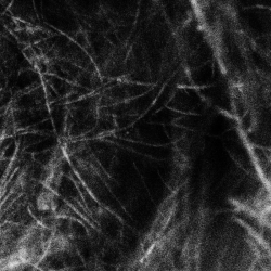 HADOPELAGYAL - Haematophoryktos (Slipcase DIGI CD) (PRE-ORDER)