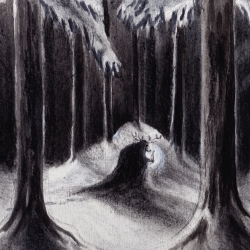 HAVUKRUUNU - Havulinnaan DIGI CD (PRE-ORDER 06.06.2025)