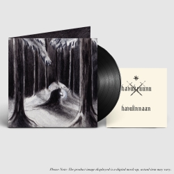 HAVUKRUUNU - Havulinnaan LP (BLACK) (PRE-ORDER 06.06.2025)